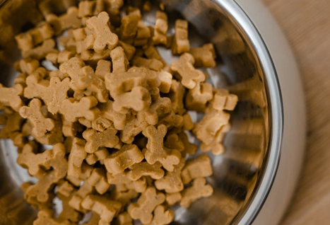 Veterinarska stanica